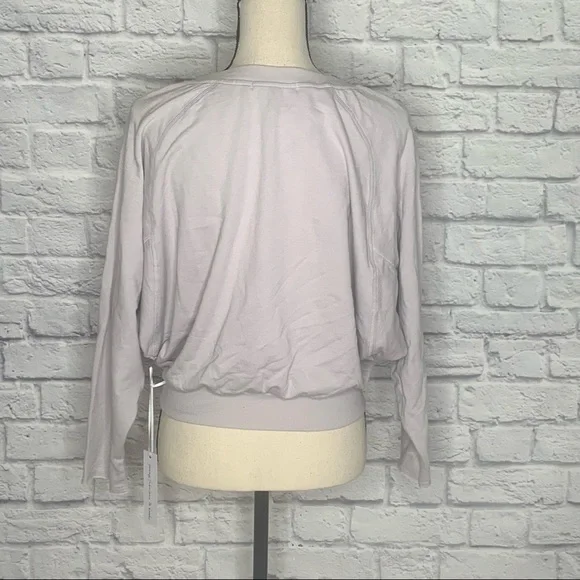 NWT Young Fabulous & Broke Payton Crew Sweatshirt - Picture 5 of 13